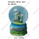 Souvenir Water Ball